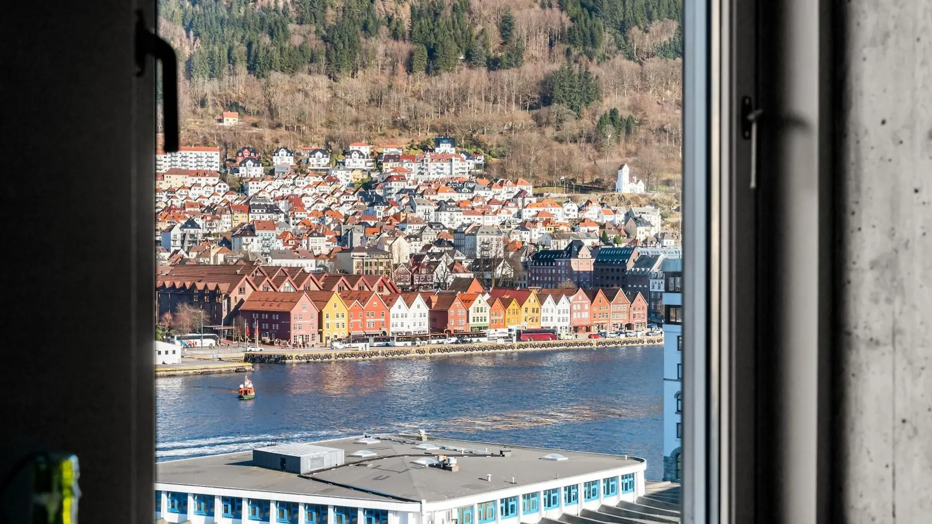 Nordnes - Amazing View Of Bryggen! Lejlighed Bergen